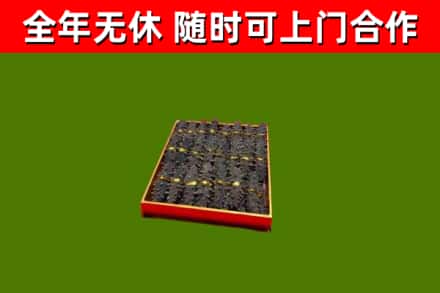青川回收海参